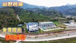 隐藏在韶关粤北茶山里的民宿，免费茶园观光，体验亲手采茶的乐趣