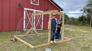 Cow troubles, building a second hoop coop