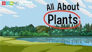 All About Plants