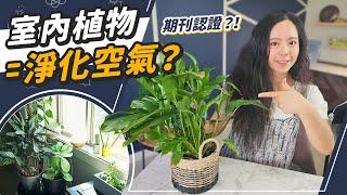 室內植物吸收輻射？養植物能淨化空氣嗎？