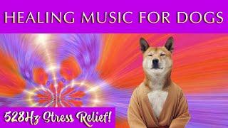 Healing Music for Dogs and Humans   528Hz Relaxation and Stress Relief