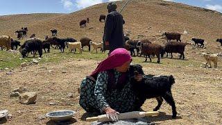 Super Shepherd Grandma| Unbelievable Mountain Cooking: Village Life in Afghanistan