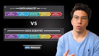 Different Data Science Roles Explained (by a Data Scientist)