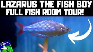 Lazarus the fish boy Fish Room Tour: Rainbowfish, Livebearers, Cichlids, Fancy Goldfish and more!