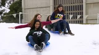 UC San Diego Alumni Snow Day