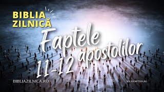 Biblia zilnică - Faptele apostolilor 11-12 - Biblia audio