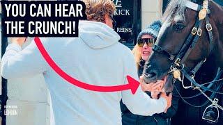 HORSE BITES DOWN ON WOMAN’S HAND! | Horse Guards, Royal guard, Kings Guard, Horse, London, 2024