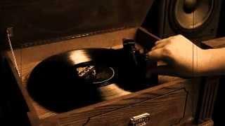 Culture Shock Records Rockford IL, Vinyl Commercial 2013