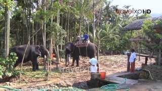 Best from the rest -  5 Fun things to do in Kerala