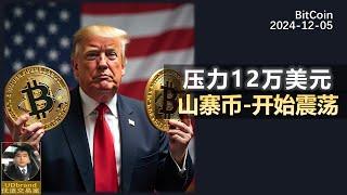 BTC冲破10W大关，压力区间12万，山寨币开始震荡。#btc #比特币 #牛市