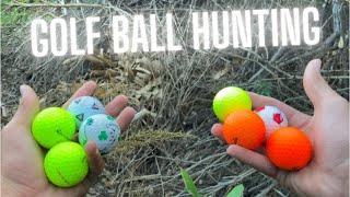 Golf Ball Hunting in Golf Course Bushes