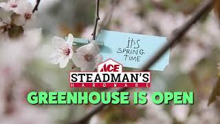 Suzanne is back in the Greenhouse this spring!