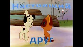 Песня "Настоящий друг"-