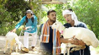 इकबाल ने दी दुम्बे की कुर्बानी | PART - 1 | Iqbal Ne Di Dumbbe ki Qurbani | EID NEW MOVIE 2024