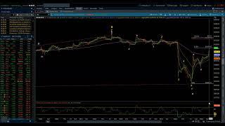 S&P 500 & NASDAQ 100 / Elliott Wave Daily Update 12/24/2024 by Michael Filighera