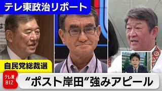 自民党の総裁選挙管理委員会が初会合　「ポスト岸田」を見据えて各議員が“強み”アピール【テレ東政治リポート】