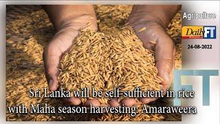 Sri Lanka will be self-sufficient in rice with Maha season harvesting: Amaraweera