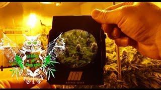 Method Seven Optics in the Grow Room: How to get your growroom pictures and video to look right