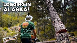 How They Log Trees In ALASKA!