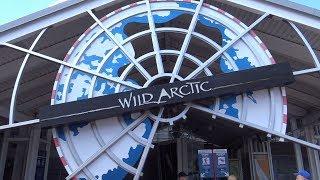 wild arctic full ride
