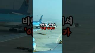 비행기 안에서 이걸 하다가 체포된 중국인들이 소름 돋아요