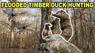 Arkansas Flooded Green Timber Duck Hunting!! (NEW PRODUCT REVEAL)