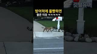 역시 RPG 게임은 방어력이지 ㅋㅋㅋㅋㅋ