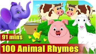 Top 100 Animal Rhymes in English