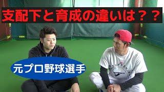 【プロ野球】元プロ野球選手に聞いた！支配下登録と育成選手の違いとは？？