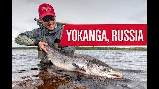 Yokanga River, Russia - Fly Fishing for Atlantic Salmon