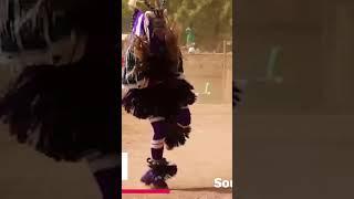 Zaouli dance #shorts