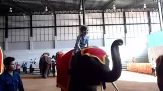 Elephant Ride at Nong Nooch Village Elephant Show, Pattaya, Thailand