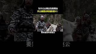 为什么山贼出生的周仓，关公庙里会有他的香火？ #周仓 #关羽 #三国 #忠义 #赵云