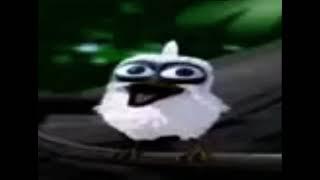 Bird screaming meme (bird screaming original meme)