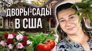 НАШ ДВОР-САД В США. ПРОЕКТЫ МУЖА. ДВОРЫ АМЕРИКАНЦЕВ.