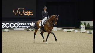 Bond between Horse and Rider - Interview with Daniel Bachmann Andersen