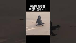 해변에 나타난 귀신의 정체 ㄷㄷ