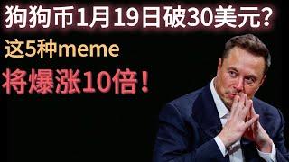 狗狗币1月19日破30美元？这5种meme将爆涨10倍！