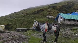 Chandershilla peak| Uttrakhand