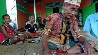 Biau,sampi,pengap,Dayak iban sebaruk,