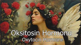 Oksitosin Hormonu - Oxytocin Hormone  - (Binaural / Isochronic / Enerji Frekansı)