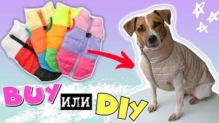 BUY или DIY? | ЖИЛЕТКА ДЛЯ СОБАК СВОИМИ РУКАМИ