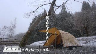 【予想外の雪景色】ステイシー（1人用インナー）とアルパカで過ごす真冬のソロキャンプ