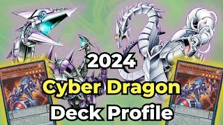 This Cyber Dragon Deck Will Crush Your Opponents! | 2024 Profile