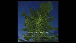 Loney Dear — I am John