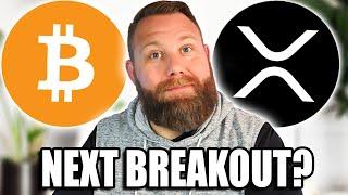 XRP & BITCOIN ABOUT TO BREAKOUT AGAIN? BIG HOLDERS INCREASE POSITIONS!