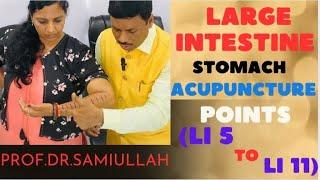 LARGE INTESTINE STOMACH ACUPUNCTURE POINT'S (LI 5 TO LI 11)