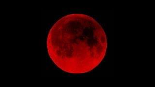 Part 1 Blood Moons -Pastor Patrick Hadley MFHM