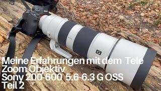 Meine Erfahrungen mit dem Tele Zoom Objektiv SONY 200-600 5.6- 6.3 G OSS  - Teil 2