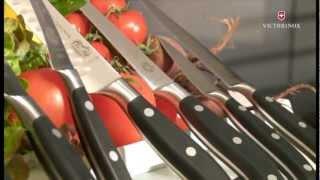 Chapter 4 - How to choose a knife - Grand Maître forged cutlery